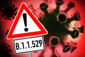 Штамм «омикрон» может завершить пандемию COVID-19