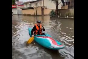 что нового в парке галицкого в краснодаре. Смотреть фото что нового в парке галицкого в краснодаре. Смотреть картинку что нового в парке галицкого в краснодаре. Картинка про что нового в парке галицкого в краснодаре. Фото что нового в парке галицкого в краснодаре