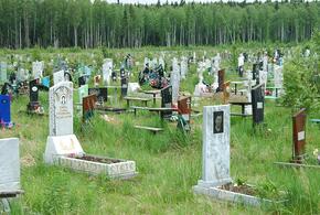 В России смертность побила рекорд времен Великой Отечественной войны