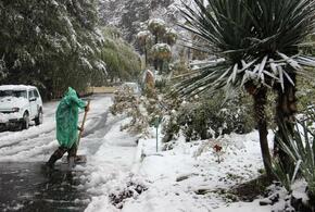 В Сочи объявлено экстренное предупреждение по мокрому снегу