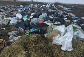 На свалке в Краснодарском крае нашли цинк, свинец и марганец