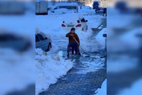 В Краснодаре прокуратура проверит УК, где мужчина на инвалидной коляске убирал снег
