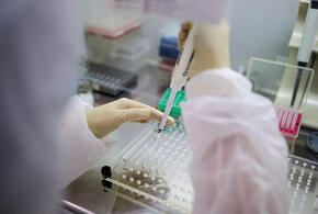 В Краснодарском крае за сутки заболели коронавирусом 757 человек