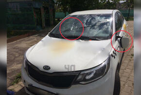 В Тимашевском районе Кубани мужчина избил такси