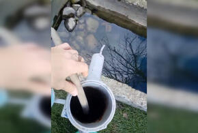 Житель Кубани придумал лайфхак, как избавиться от воды в затопленном дворе ВИДЕО