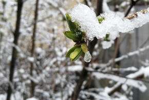 Мокрый снег и гололедица: в Сочи объявлено штормовое предупреждение 