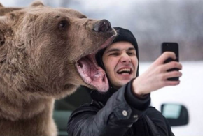 Селфи с медведем: в Сочи дикие животные выходят к людям в поисках еды 