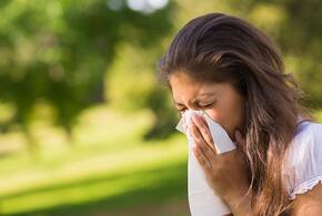 Иммунолог рассказала, как россиянам бороться с сезонной аллергией