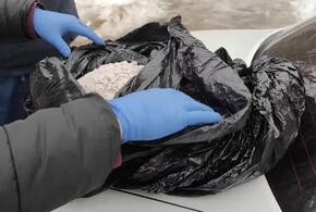 У водителя из Краснодара в машине нашли 10 кг мефедрона 