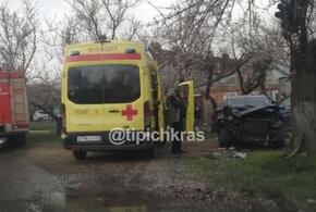 В Краснодаре водитель Hyundai врезался в дерево у дороги