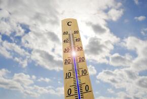На Кубани последний понедельник весны будет по-летнему жарким