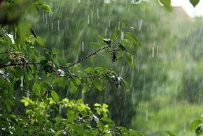 Сегодня на Кубани похолодает, и пройдут сильные дожди
