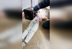 В Новороссийске мальчик засунул руку в колонку и застрял