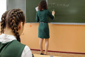 В школах Кубани учатся более 1,5 тысяч детей с Донбасса и Украины