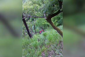 В Сочи 61-летняя туристка сорвалась со скалы Коготь