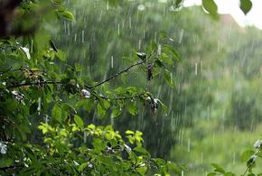 Жителей Кубани сегодня ждет хмурый и дождливый день 