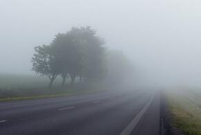 Туман и небольшой дождь прогнозируют сегодня синоптики на Кубани