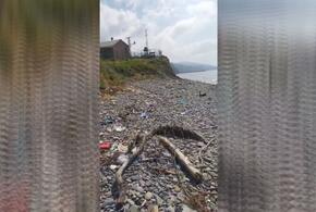 В Новороссийске местные жители сами очистили дикий пляж ВИДЕО
