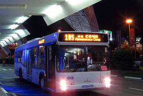 В Сочи автобусы будут возить туристов круглосуточно
