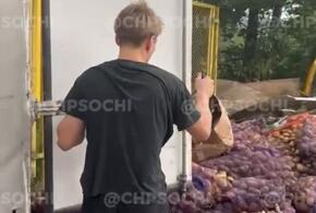 В Сочи горе-грузчики выбросили десятки мешков с гнилыми овощами ВИДЕО