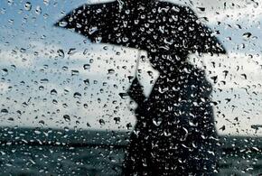 Дожди и грозы на Кубани задержатся до конца недели