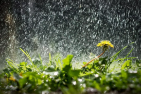 Еще один дождливый день ждет жителей Краснодарского края
