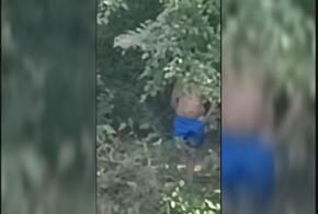 В Краснодаре по Солнечному острову гуляет извращенец в синих шортах