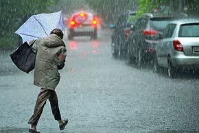 Грозы, дожди и град ожидаются 12 августа на Кубани
