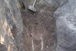 На Кубани во дворе  своего дома мужчина нашел человеческий скелет