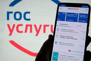 Россияне, ухаживающие за инвалидами, узнают о компенсациях через госуслуги ВИДЕО