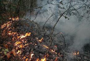 В Геленджике в районе Храпаковой щели горит лес