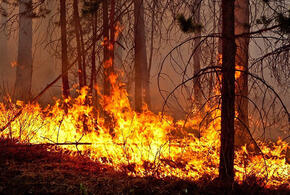 В Краснодарском крае объявлен самый высокий уровень пожароопасности