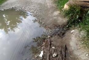 В Туапсинском районе дорогу, ведущую к морю, затопило дерьмом ВИДЕО