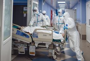За сутки на Кубани коронавирусом заболели 520 человек