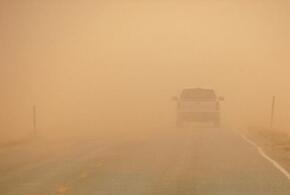 Жителей Кубани предупредили о пыльных бурях 23 августа