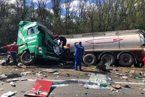Два фургона и грузовик столкнулись на трассе между Ейском и Краснодаром, погибли водители