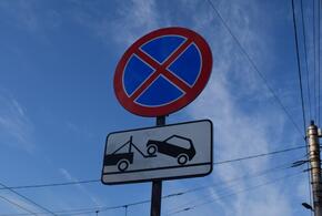 В Краснодаре запретят парковку около Чистяковской рощи