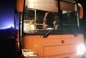 В Краснодарском крае автобус задавил женщину на трассе