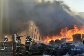 В Новороссийске ночью произошел пожар на мусорном полигоне