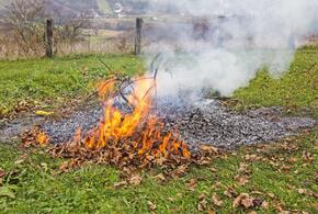 Названы штрафы за сжигание листвы во дворе дома