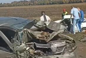 В лобовой аварии на Кубани погибли пассажиры двух легковушек 