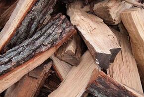 Жители Туапсинского района Кубани срубили дров на 4,3 млн 
