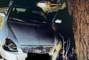 На Кубани автомобиль вылетел с трассы и врезался в дерево