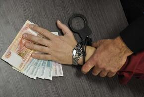 На Кубани экс-полицейского осудили за крупную взятку