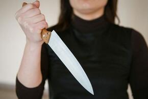 В Краснодаре у матери, искромсавшей ножом своих дочерей, нашли психические отклонения