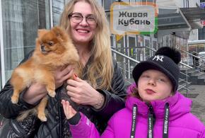 Больше чем друг: жители Краснодара рассказали о своих домашних питомцах