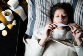 В Краснодаре эпидпорог по гриппу и ОРИ превышен почти на 100 процентов