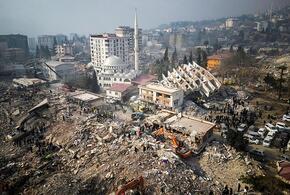 Число погибших при землетрясении в Турции превысило 40,5 тысяч человек