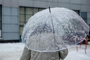 Краснодарский край сегодня засыплет мокрым снегом
