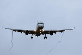 На борту самолета, летевшего из Сочи в Красноярск, пострадали пять человек